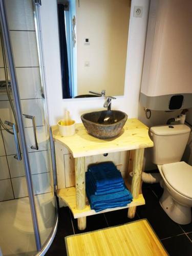 une salle de bain avec un lavabo et des toilettes dans l'établissement Appartement 2 pièces, à Montmin