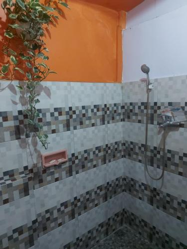 a bathroom with a shower with a glass door at Budhis Home in Bromo