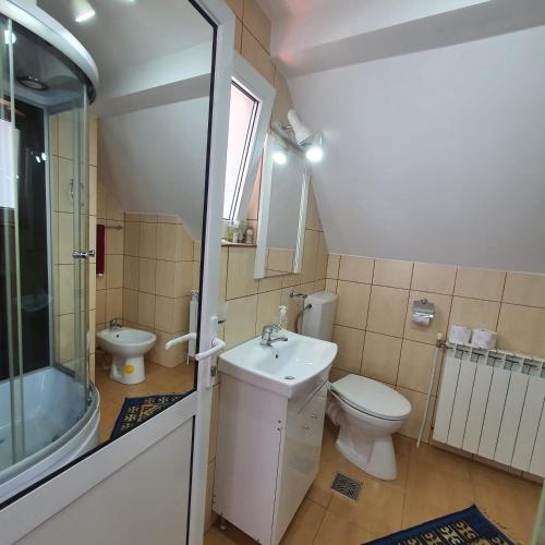 a bathroom with a toilet and a sink and a shower at Apartament 3 camere strada Bailor Baltatesti in Bălţăteşti