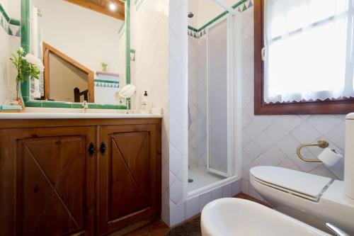 a bathroom with a toilet and a sink and a shower at Apartamento Oasis Granada in Granada