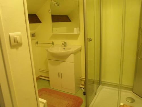 Cousancelles的住宿－Guestroom Cousances-les-Forges, 1 pièce, 2 personnes - FR-1-585-123，一间带水槽和淋浴的小浴室