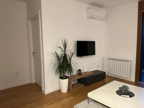 ベオグラードにあるTHE FIVE-New Belgrade Apartmentのリビングルーム(テレビ、鉢植え付)