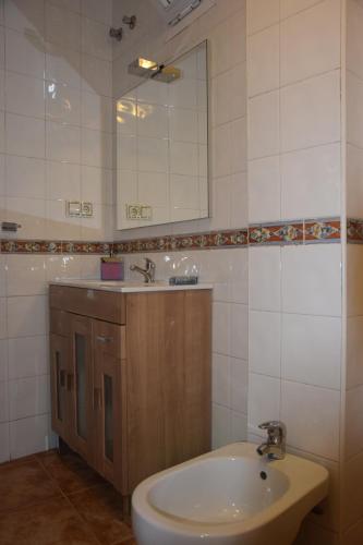 a bathroom with a sink and a mirror at Centro de Granada in Granada