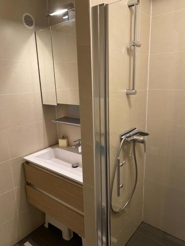 een badkamer met een douche en een wastafel bij Quadern Apartmenthaus B204 in Bad Ragaz