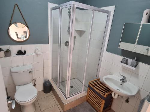 uma casa de banho com um chuveiro, um WC e um lavatório. em Weavers Nest 34 em Windhoek