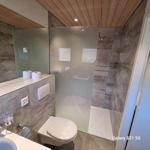 a bathroom with a shower and a toilet and a sink at Mountain - Lake Apartment 3 in Wilderswil