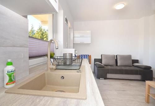 a kitchen with a sink and a couch in a room at Domki CLAUDIA in Darłowo