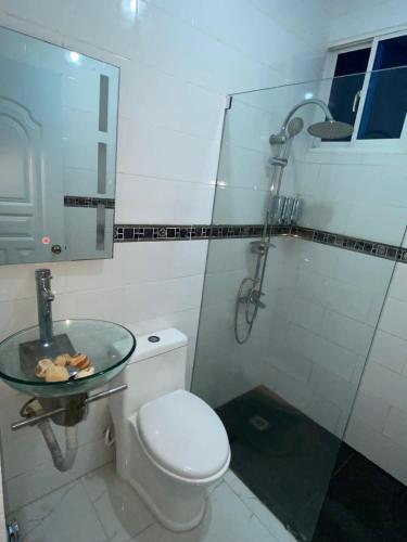 La salle de bains est pourvue de toilettes et d'un lavabo en verre. dans l'établissement Acogedor Apartamento, à Santiago de los Caballeros