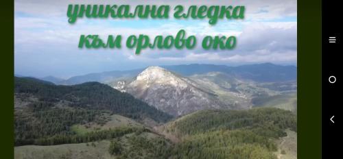 Pemandangan gunung umum atau pemandangan gunung yang diambil dari rumah tamu ini