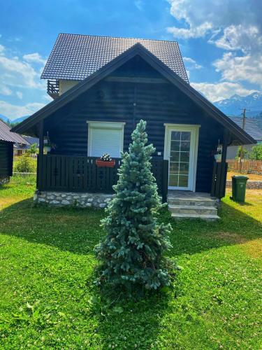 a christmas tree in front of a blue house at Hotel Tradita Valbonë in Valbonë