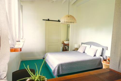 為諾拉海灘的住宿－Venao Surf Lodge，一间卧室配有一张床和盆栽植物