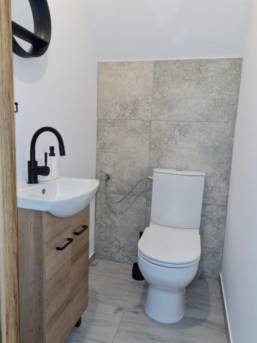 Łazienka z białą toaletą i umywalką w obiekcie Bocheniówka w Nowym Targu