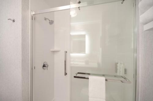 a bathroom with a shower with a glass door at Hampton Inn & Suites Dayton-Vandalia in Murlin Heights