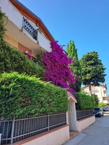 a building with purple flowers on the side of it at B&B Carlotta in Montesilvano