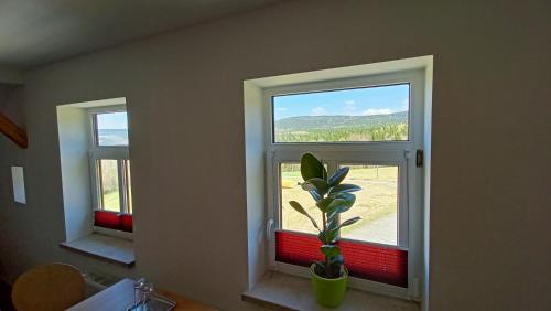 a room with two windows and a potted plant at Haus Waldschänke in Erlbach