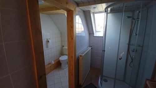 a small bathroom with a shower and a toilet at Haus Waldschänke in Erlbach