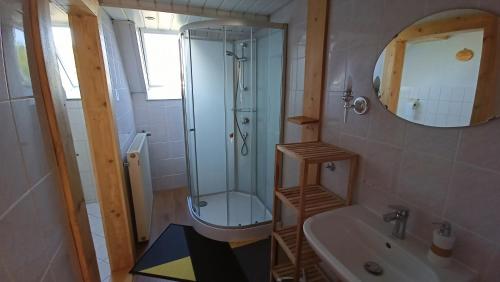 a bathroom with a shower and a toilet and a sink at Haus Waldschänke in Erlbach