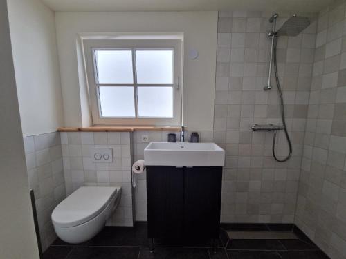 a bathroom with a toilet and a sink and a window at Fenix Edam in Edam