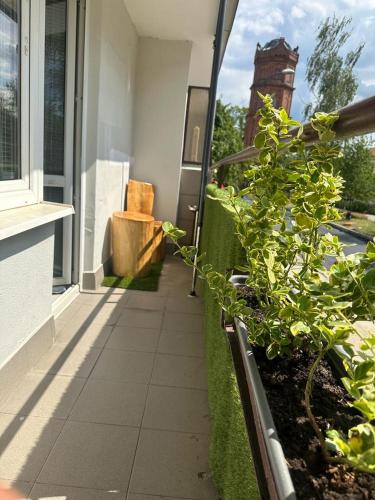 a plant on the side of a house at Charming Apartament in Płock