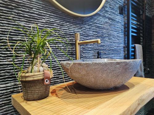 La salle de bains est pourvue d'un lavabo en pierre et d'une plante en pot. dans l'établissement O Flamingo Apartments, à Ovar