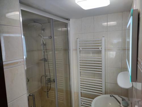 y baño con ducha, aseo y lavamanos. en Chata Dolní Maxov, en Josefŭv Dŭl
