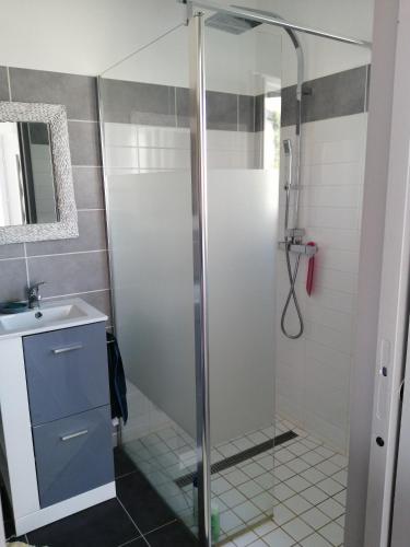 une salle de bain avec douche et lavabo dans l'établissement Appartement 2-3 personnes Saint Cast le Guildo, à Saint-Cast-le-Guildo