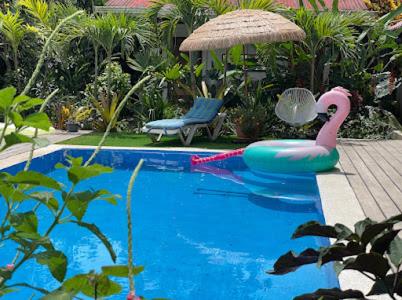 a swimming pool with a swan in the middle of it at Mecca in Puerto Viejo