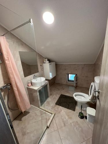 W łazience znajduje się prysznic, umywalka i toaleta. w obiekcie Prenoćište-Sobe-Rooms-Aman w mieście Bihać