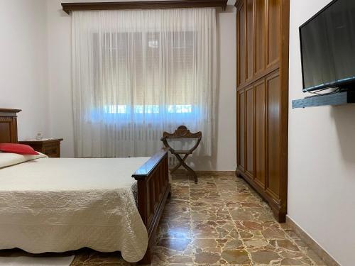 a bedroom with a bed and a tv and a window at BELLA VISTA BOLOGNESE in Trespiano