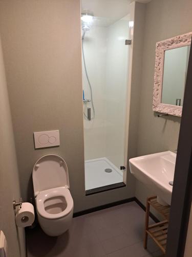een badkamer met een toilet, een wastafel en een douche bij BB de Woonboot in Anna Paulowna