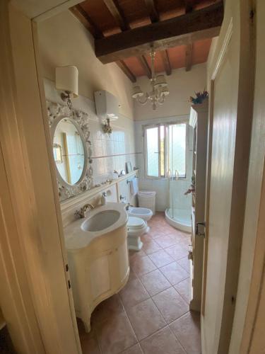 ein Badezimmer mit einem Waschbecken, einem WC und einem Spiegel in der Unterkunft Carresi Apart 2 pax with pool - portable A/C in Figline Valdarno