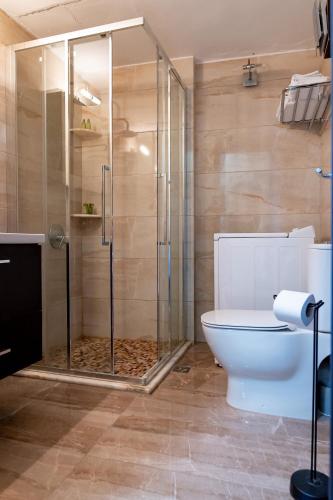 a bathroom with a glass shower and a toilet at Theoxenia Kasos Luxury Apartments in Panayía