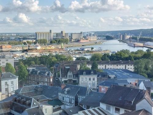 eine Luftansicht einer Stadt mit Fluss und Gebäuden in der Unterkunft Rouen : Vue panoramique sur la seine avec parking in Rouen