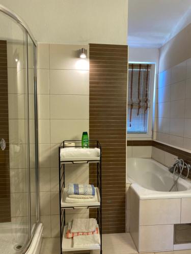 a bathroom with a shower and a tub and a sink at Apartments Vila Kurtagic in Dobra Voda