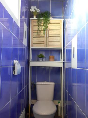 a blue tiled bathroom with a toilet with plants on it at Vil'AJ in Grand-Bourg