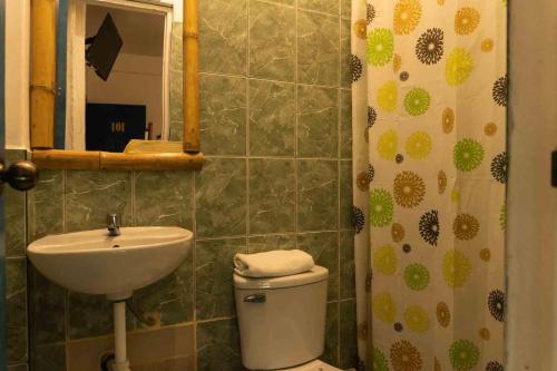 帕拉卡斯的住宿－BUGANVILIA，一间带水槽、卫生间和镜子的浴室