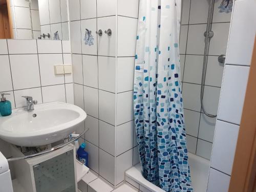 ein Bad mit einem Waschbecken und einer Dusche in der Unterkunft Ruhige gemütliche Ferienwohnung in Karlsruhe Daxlanden für Monteure, Pendler, Geschäfsreisen, Wochenendreisen in Karlsruhe