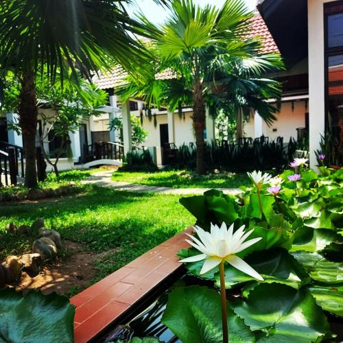 a garden with a pond with lilies and palm trees at Sunrise Garden House - Luang Prabang in Luang Prabang