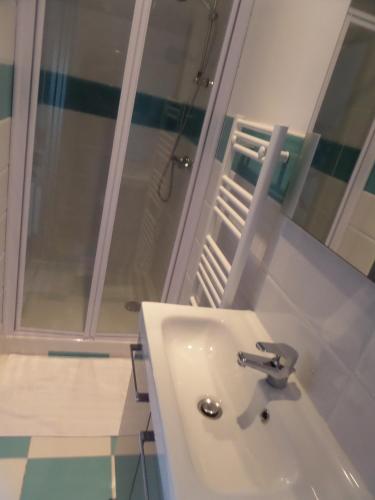 a bathroom with a white sink and a shower at Les Gites de Kerdurod in Guidel