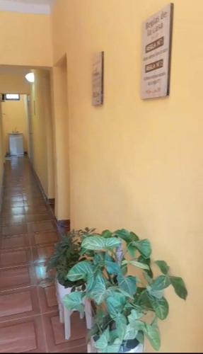 S.A.TINOGASTA – Photos 5