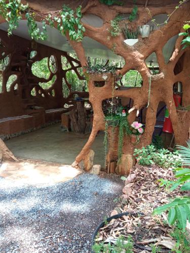 a large tree in a garden with a bench at NOMADAS chales, mini casinhas, bangalôs e area de camping in Bonito
