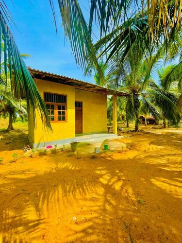 a yellow house with a palm tree in front of it at LIFE OF COCO in Galge