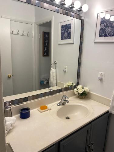 La salle de bains est pourvue d'un lavabo et d'un grand miroir. dans l'établissement Adaora's Oasis private room, à Millersville