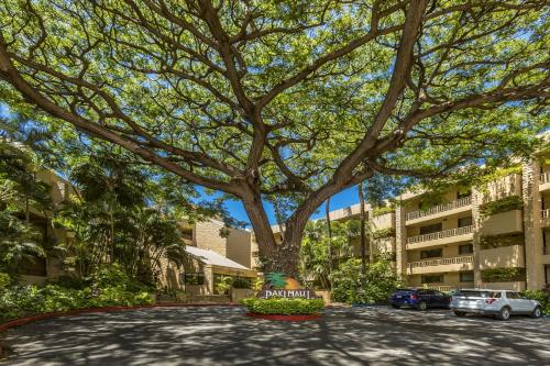 een grote boom in het midden van een straat bij Paki Maui #103 condo in Kahana