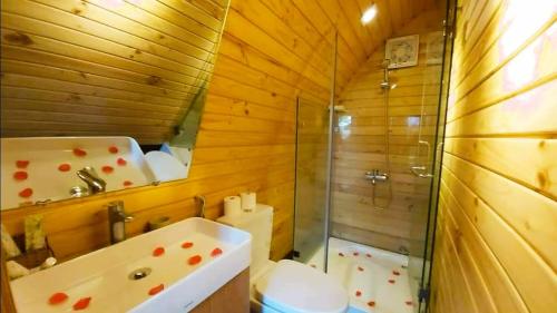 a bathroom with a shower and a sink and a mirror at Mi Lan Villa Hotel in Vung Tau