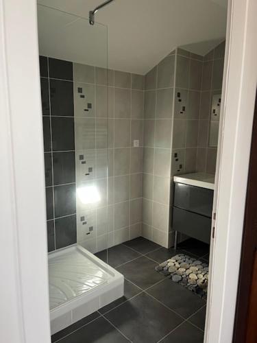 une salle de bain avec douche et lavabo dans l'établissement Repos et loisirs en moyenne montagne, à Chorges