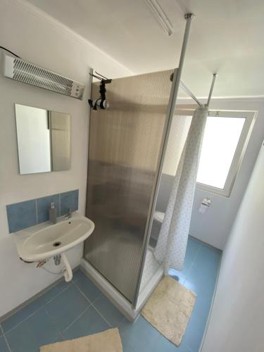y baño con ducha y lavamanos. en Kolon Vendégház en Zalavár