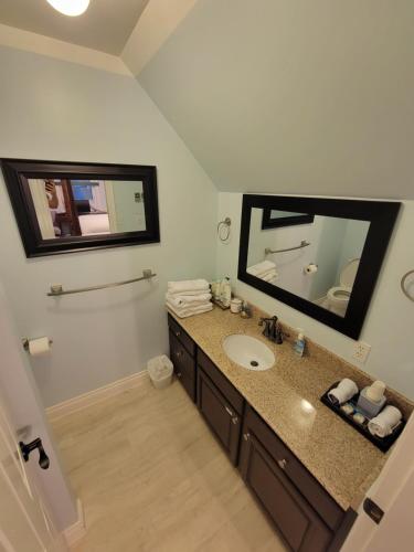 a bathroom with a sink and a mirror at Bluejay Suites B&B in Whitehorse