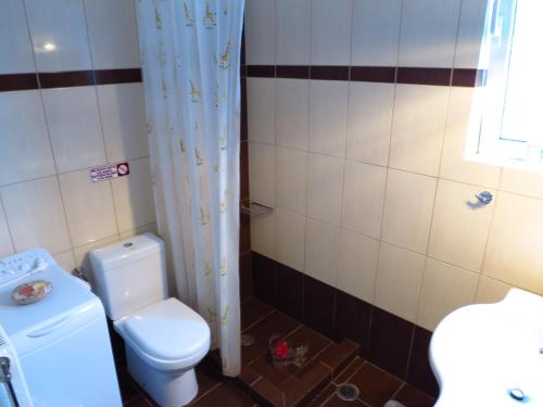 a small bathroom with a toilet and a shower at Villa Christine - Maisonettes with fireplace in Aliveri