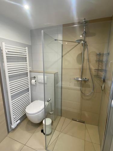 a bathroom with a toilet and a glass shower at Modernes Apartment in ruhiger Gegend in Burgbernheim
